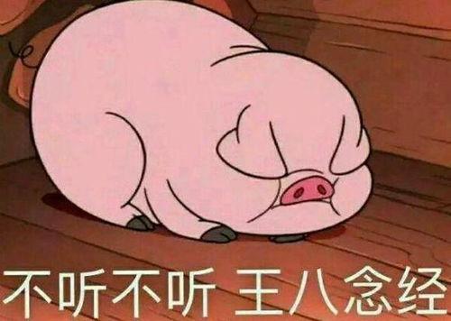 色情的凝视 表情包