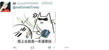 惊神未定表情包,表情包背后的故事与魅力