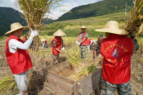 黄子稻的家庭背景,出身名门，传承家学，成就非凡人生